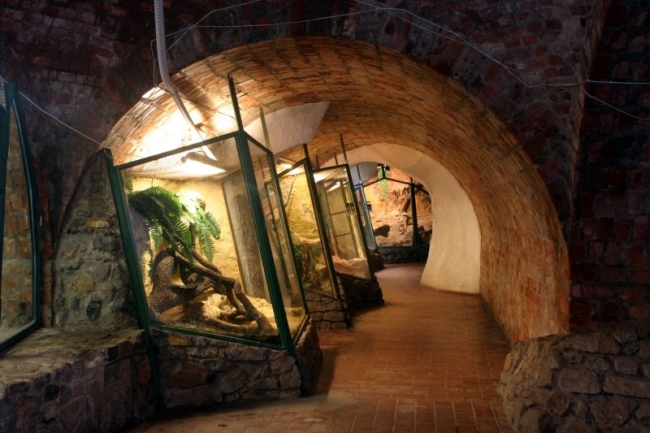 Pécs aquarium and terrarium