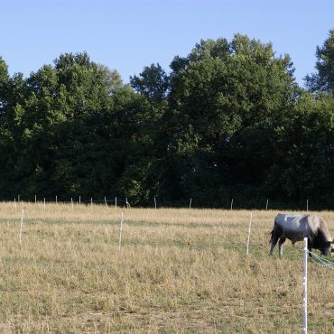 Ős-Dráva Látogatóközpont, táj