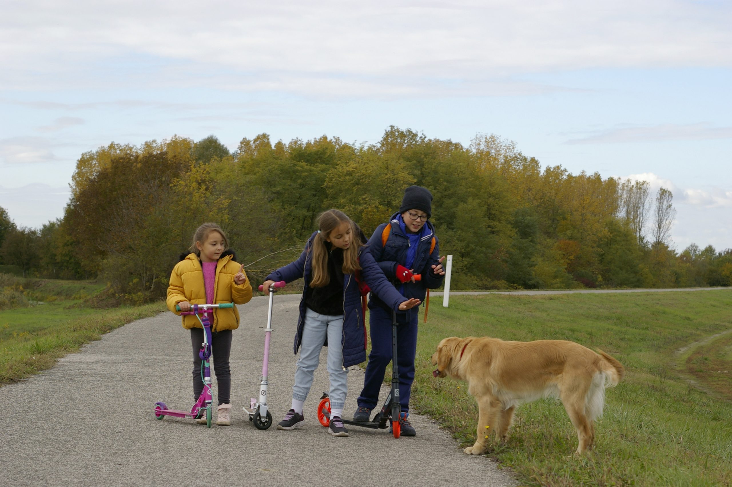 A Fekete-víz gátján remek lehetőség van rollerezni, biciklizni