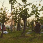 Horizom yoga & music Palkonyán, galéria képek