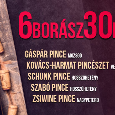6 borász és 30 bor, borkóstolás Pécsen a Pécsi Egyetemi Borbirtok szervezésében - plakát
