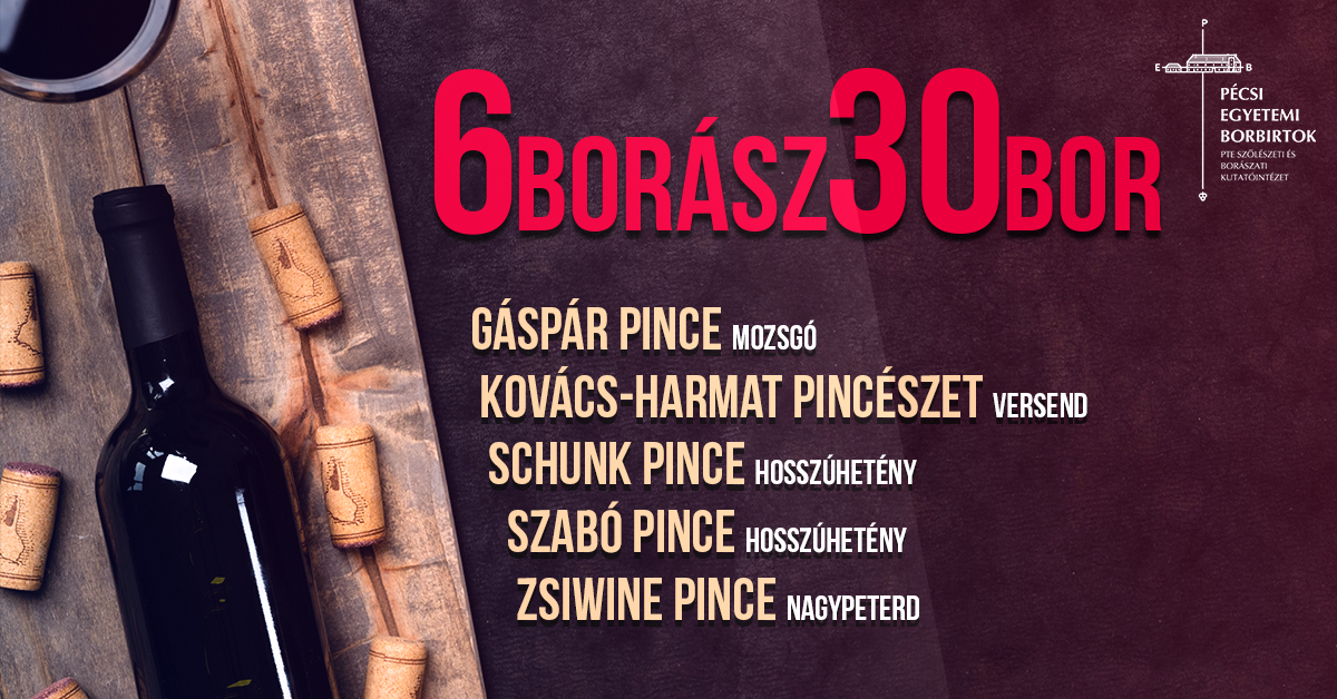 6 borász és 30 bor, borkóstolás Pécsen a Pécsi Egyetemi Borbirtok szervezésében - plakát