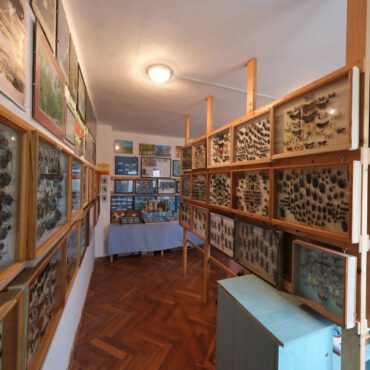 Rovartani kiállítás Drávaszabolcson