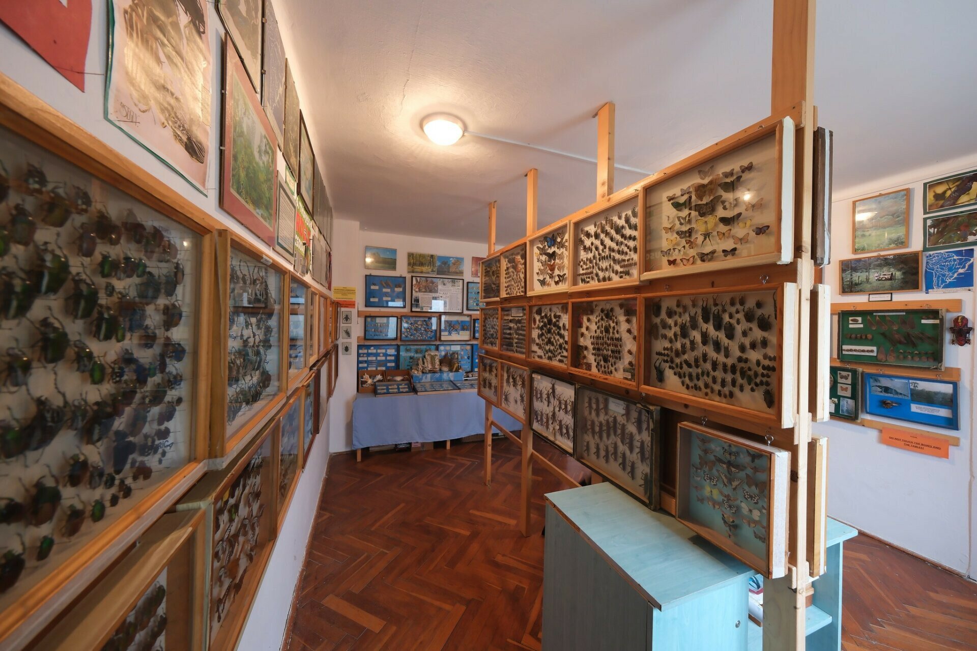 Rovartani kiállítás Drávaszabolcson