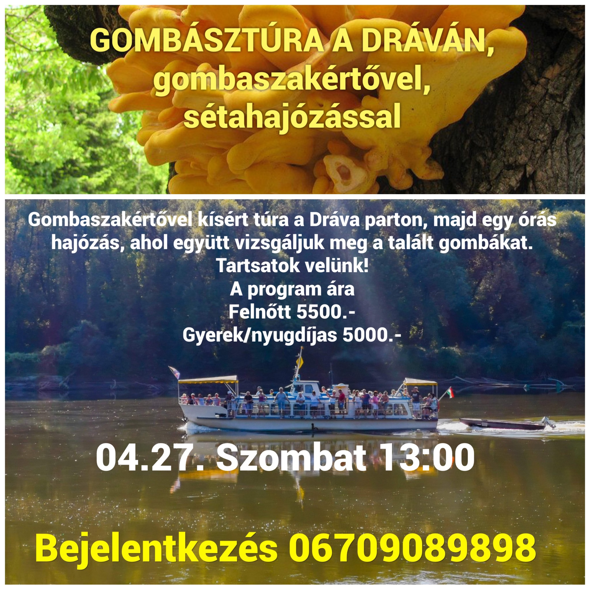 Gombásztúra és sátahajózás a Dráván - plakát