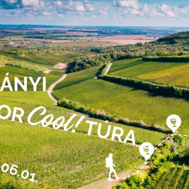 BorCoolTúra Villányban - Gere, Bocs, Günzer, Sauska - 2024