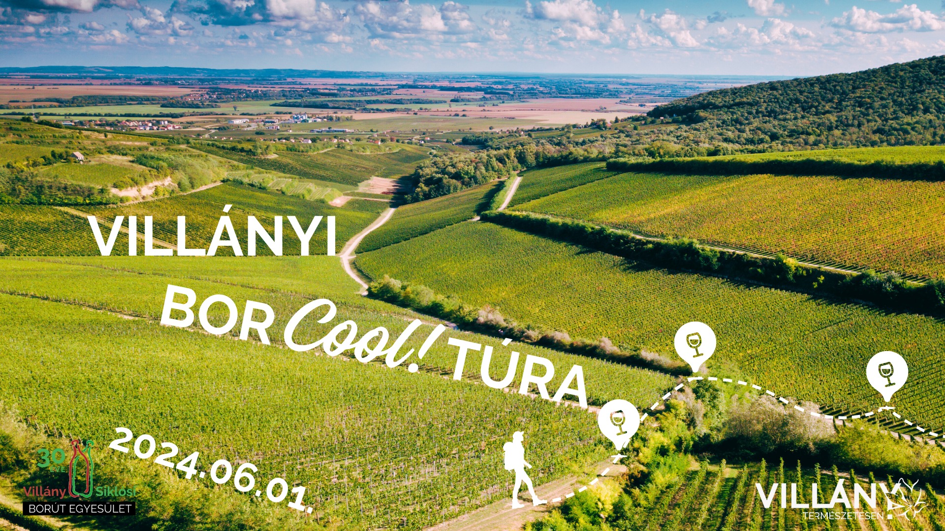 BorCoolTúra Villányban - Gere, Bocs, Günzer, Sauska - 2024