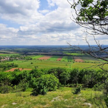Tenkes-hegyi túra a Meteo Mecsek szervezésében, 2024.06.23.