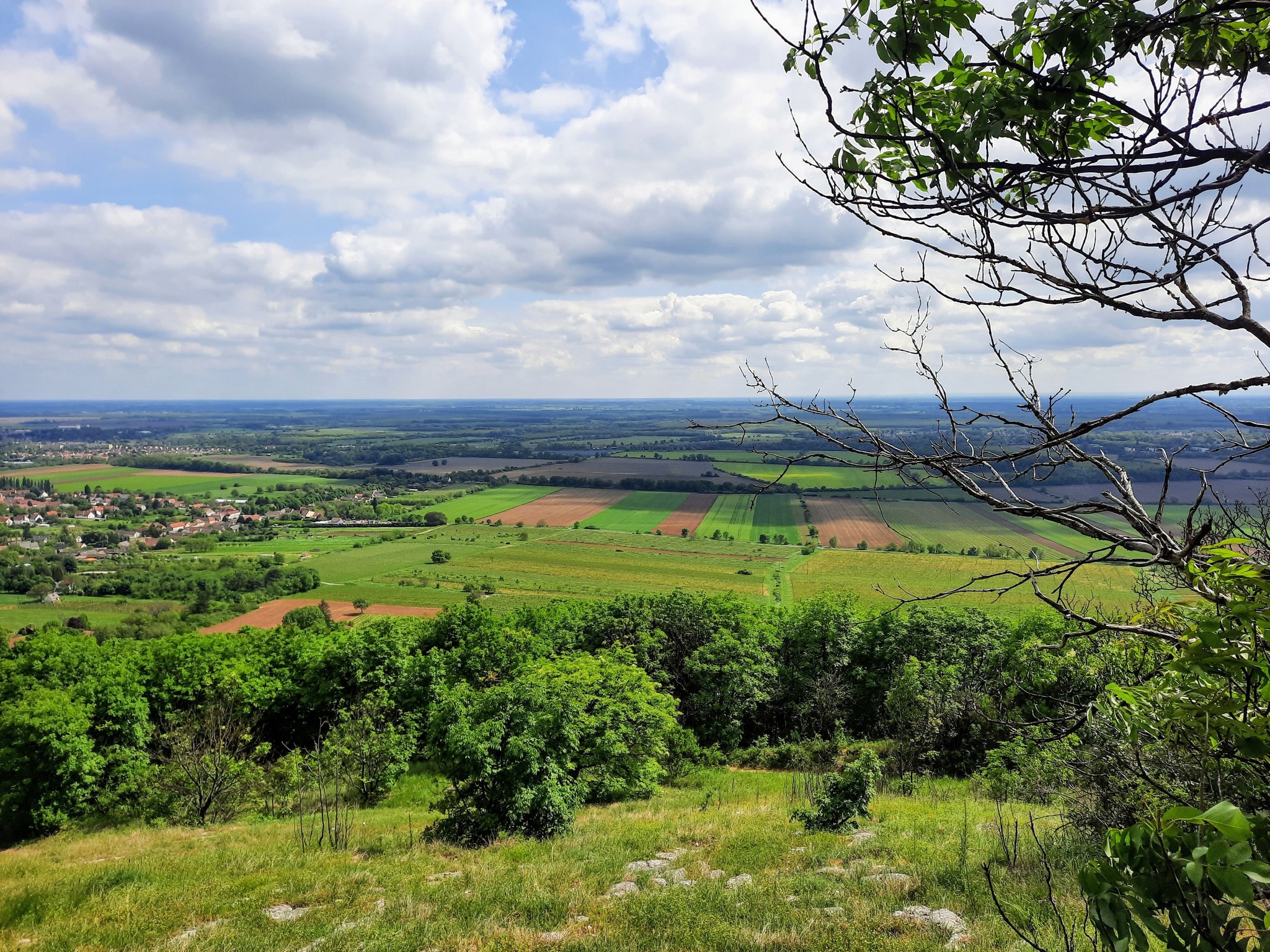 Tenkes-hegyi túra a Meteo Mecsek szervezésében, 2024.06.23.