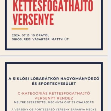 Kettesfogathajtó verseny Siklóson - 2024.07.13.
