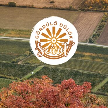 Szüreti Gördülő Dülők, Villány, 2024