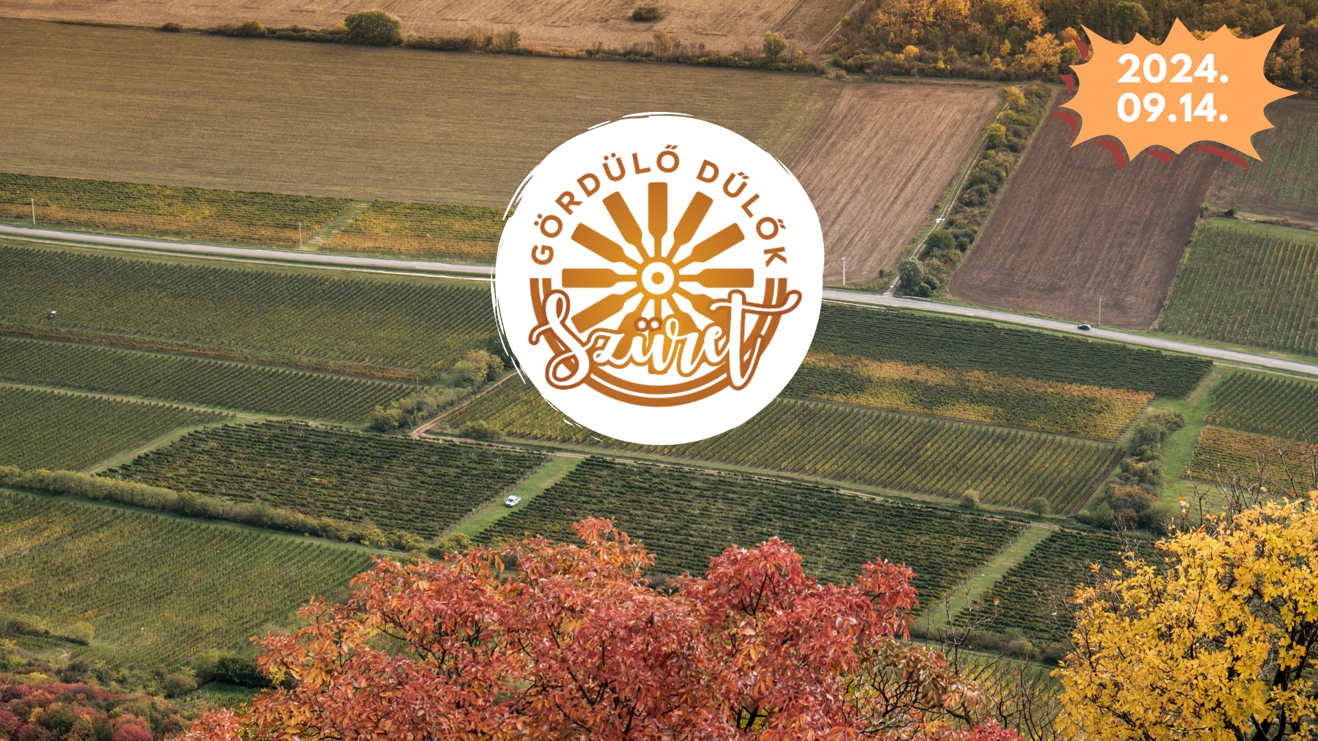 Szüreti Gördülő Dülők, Villány, 2024