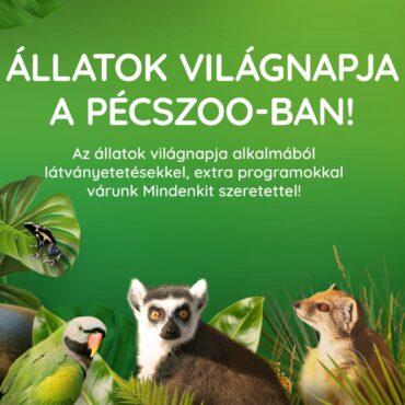 Állatok Világnapja - Pécsi Állatkert - 2024.10.05.