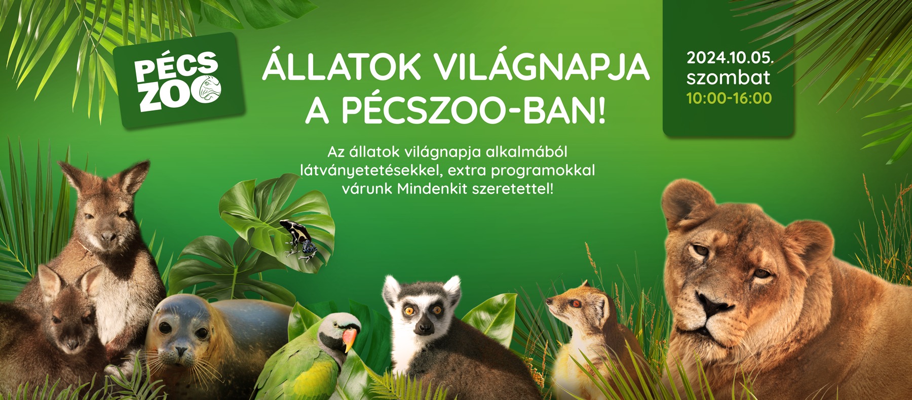 Állatok Világnapja - Pécsi Állatkert - 2024.10.05.