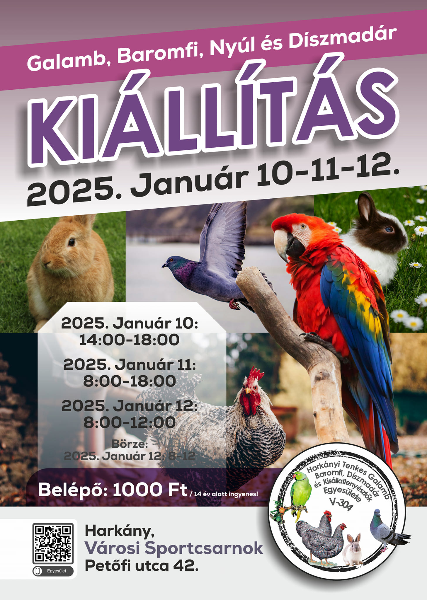 Kisállat, galamb, baromfi, nyúl kiállítás Harkányban, 2025