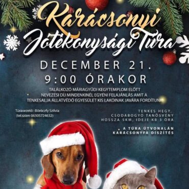 Jótékonysági karácsonyi túra Máriagyűdről, a kisállatok megsegítésére, 2024.12.21-én 9:00-tól