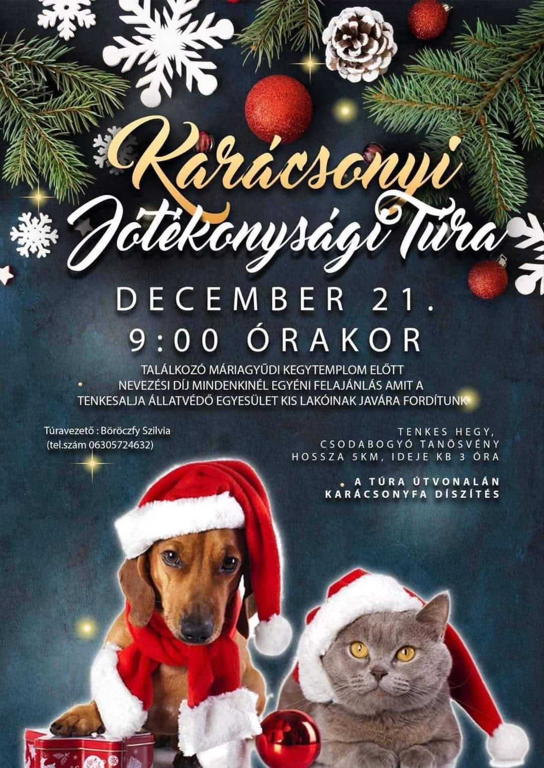 Jótékonysági karácsonyi túra Máriagyűdről, a kisállatok megsegítésére, 2024.12.21-én 9:00-tól