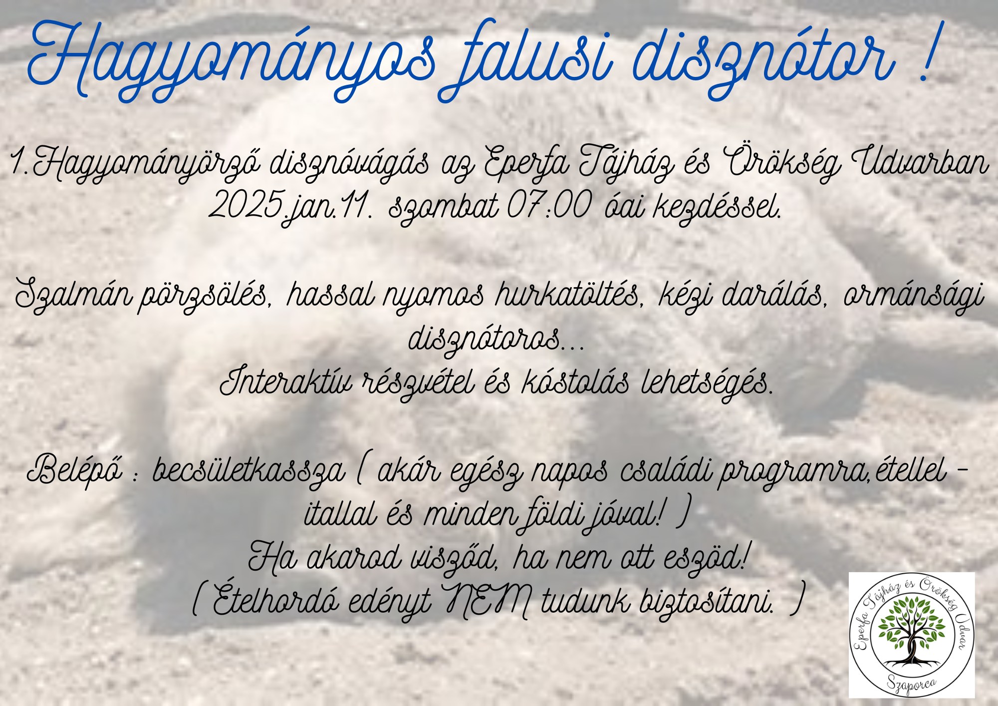 Disznóvágás, Szaporca, Eperfa Tájház, 2025.01.11. 7 órától