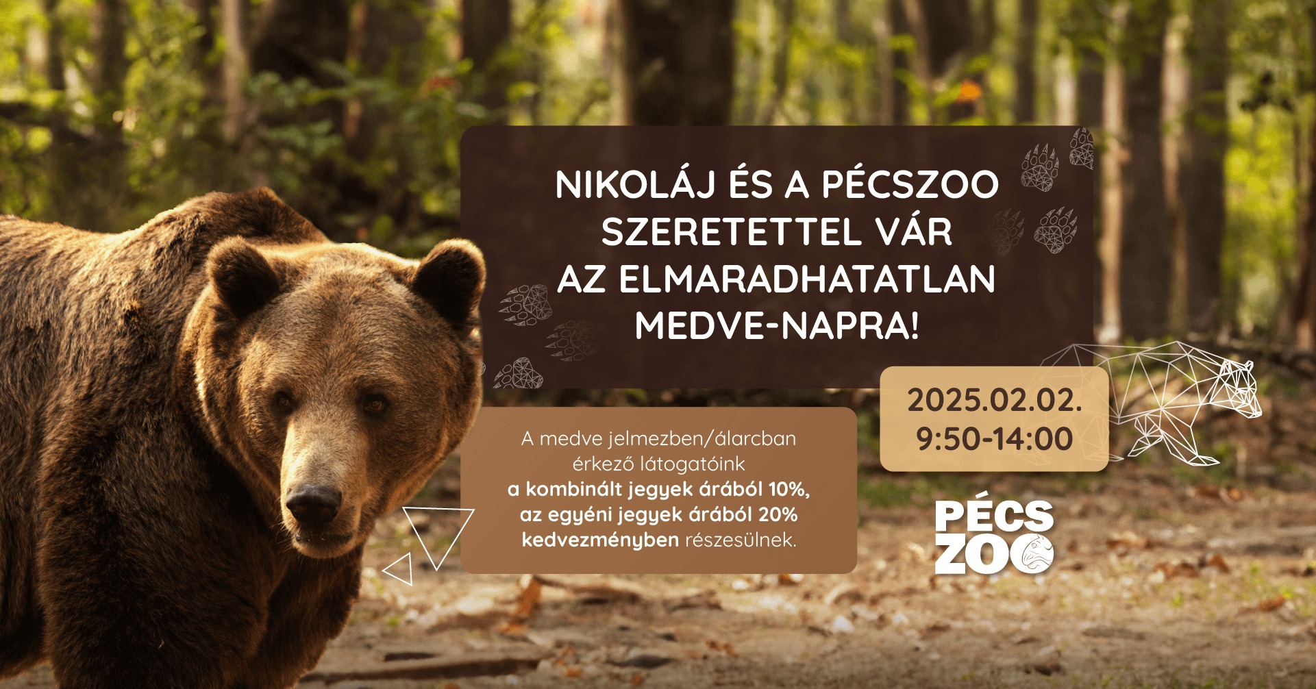 Nikoláj napja, azaz Medve-nap a Pécsi Állatkertben, 2025.02.02.