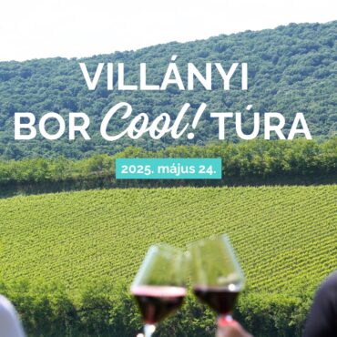 Villányi BorCoolTúra 2025.05.24.