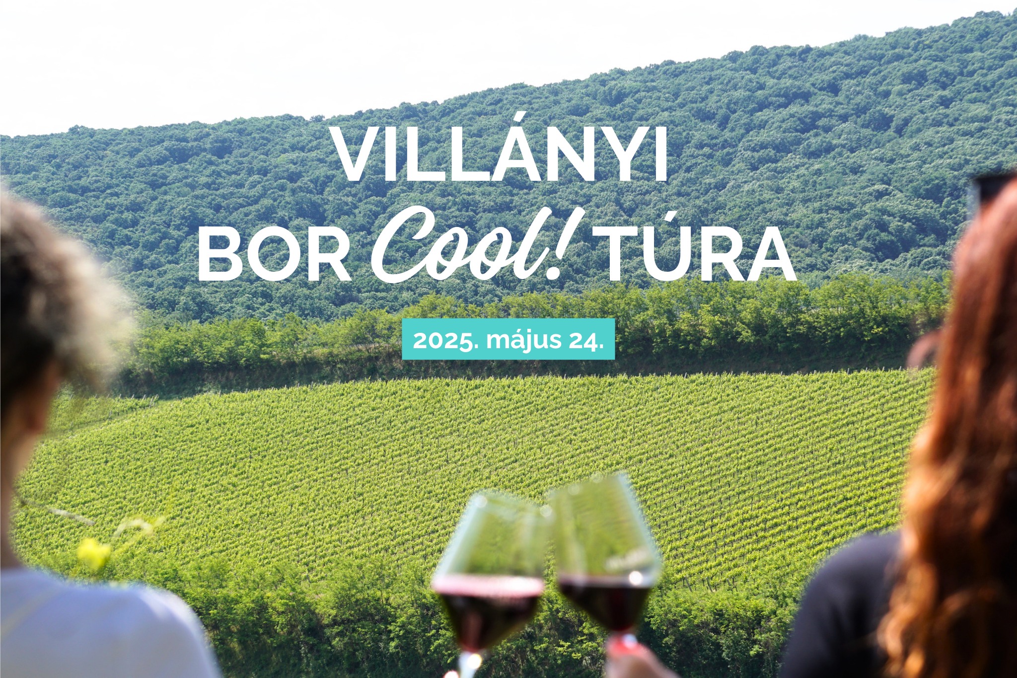 Villányi BorCoolTúra 2025.05.24.