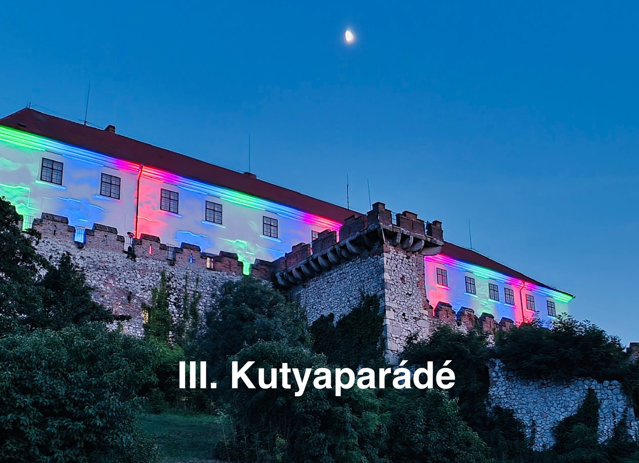 III. Kutyaparádé Siklós, 2025.06.14.