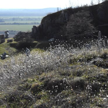 Nagyharsányi Szoborpark