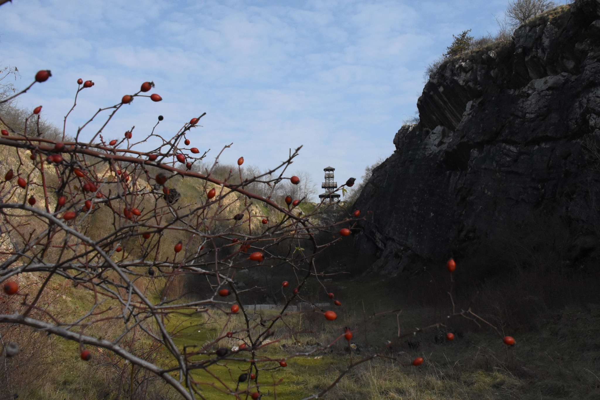 Templom-hegyi kilátó, Villány. Fotó: Béres Sylvia