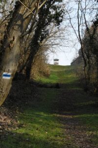 Kilátó Villányban a Templom-hegyen