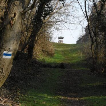 Kilátó Villányban a Templom-hegyen