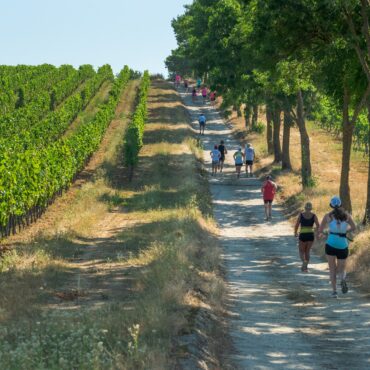 Futavillány - Futabor 2025, Villány, Ördögárok, futóverseny, sport!