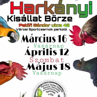 Kisállat kiállítás Harkányban, galamb, nyúl, csirke, tyúk, kakas, galamb, 2025