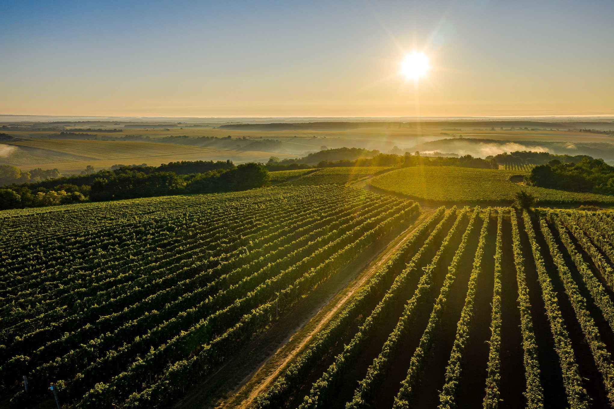 Siklósi Fotókör - tavaszi tárlat megnyitó a Siklósi Vár Galériájában. Készítette: Gönczöl Gábor, forrás: facebook.com/siklosi.fotokor
