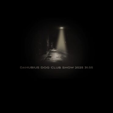 Dog kutyatalálkozó és szépségverseny Siklóson, a várnál - 2025.05.31.