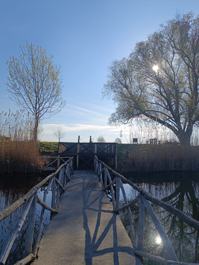 Hétöles-tó, Szaporca, 2025