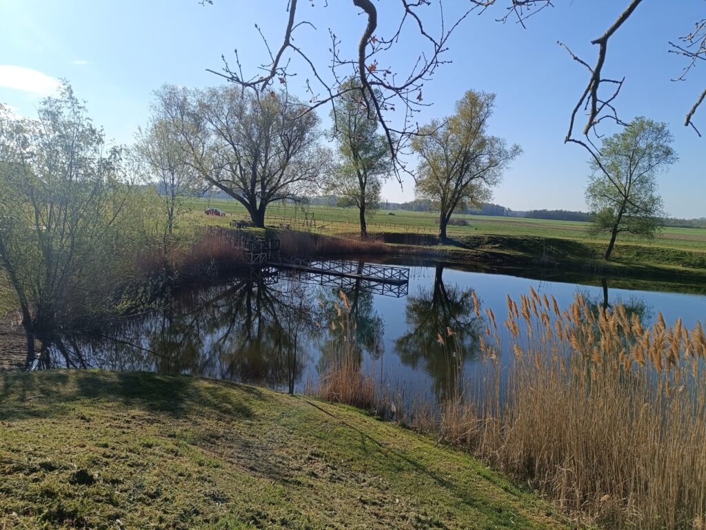 Hétöles-tó, Szaporca, 2025