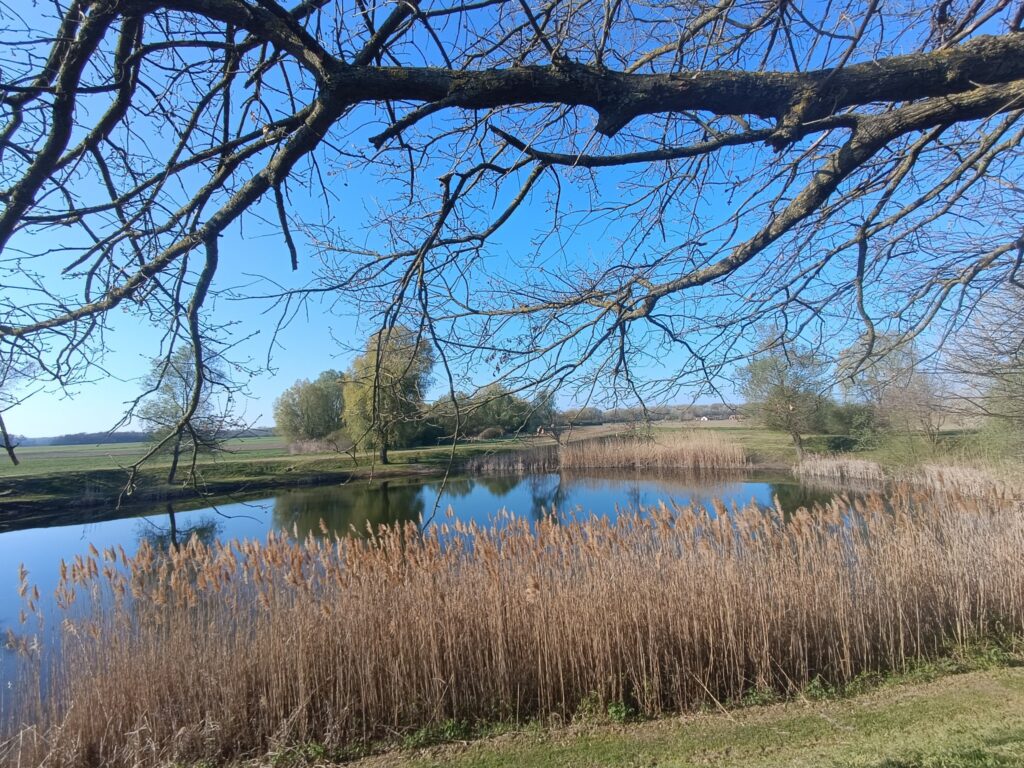 Hétöles-tó, Szaporca, 2025