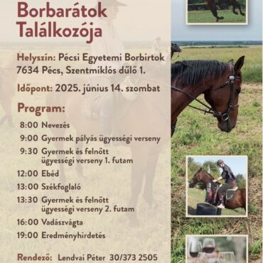 Pécsi Lóbarátok és Borbarátok Találkozója 2025 - Pécsi Egyetemi Borbirtok