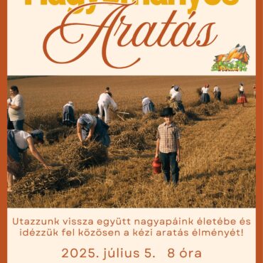 Hagyományos aratás Vokányban, 2025.07.05.