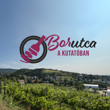 Borutca, borkóstolás a PTE Szőlészeti és Borászati Kutatóintézetében, 2025.07.19.