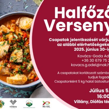 Halfőző Verseny Villányban a Városnapok ideje alatt, 2025.07.05-én