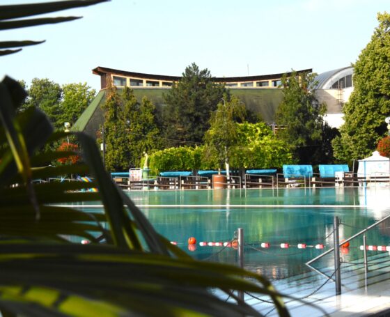 Osztálykirándulás kedvezmények a Harkányi Gyógyfürdőben