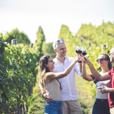 Élményszüret a Mokos Pincészettel, Villánykövesd, Palkonya, 2025.10.25.