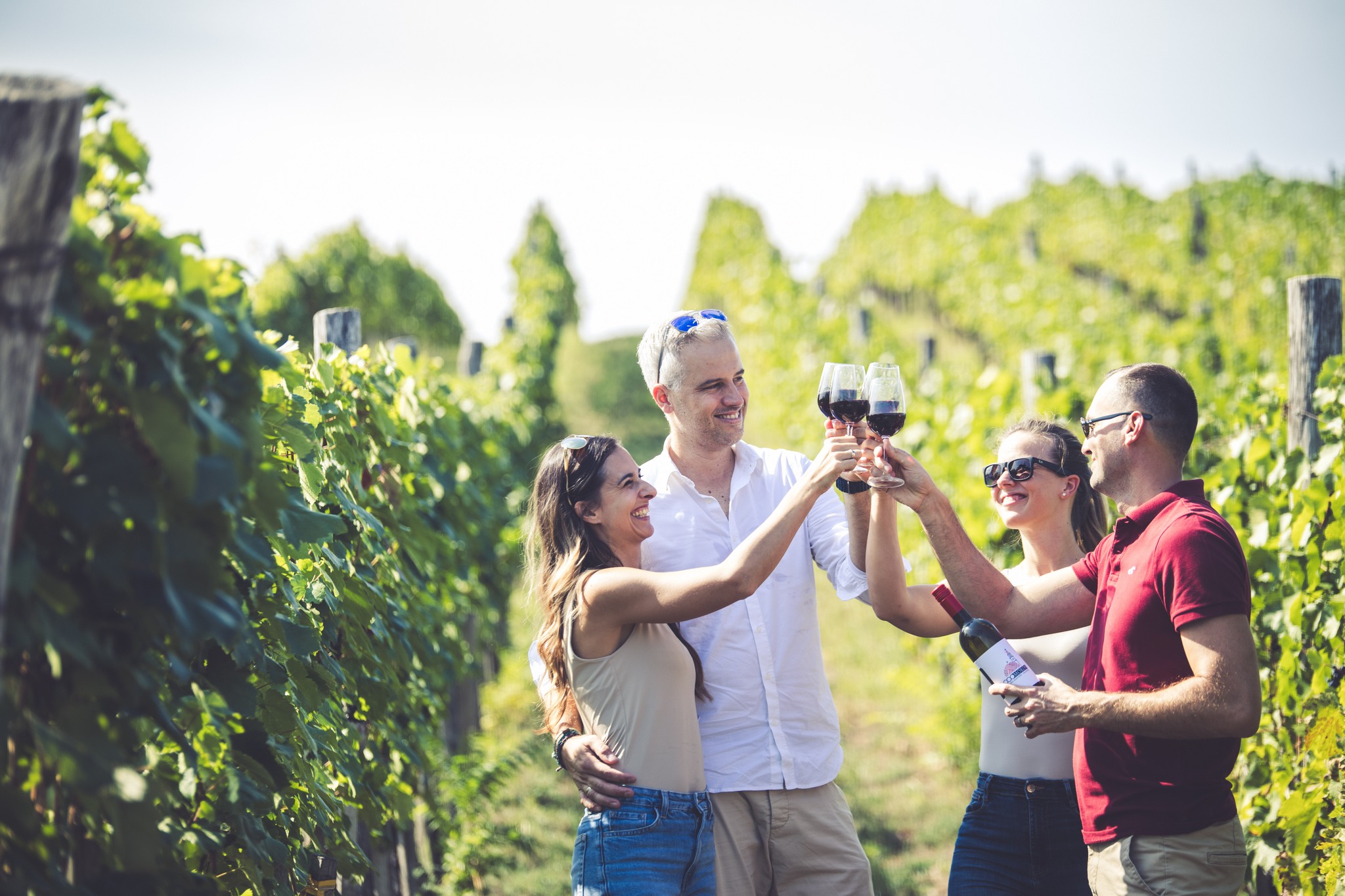 Élményszüret a Mokos Pincészettel, Villánykövesd, Palkonya, 2025.10.25.