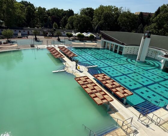 Ha hétfő, akkor senior nap!