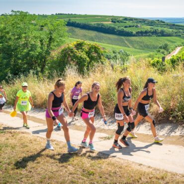 FutaVillány - FutaBora