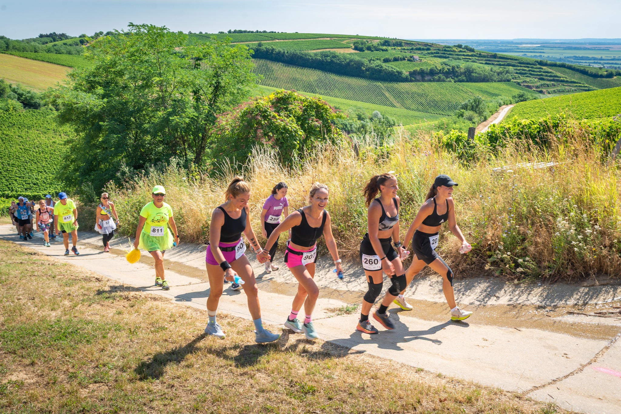 FutaVillány - FutaBora