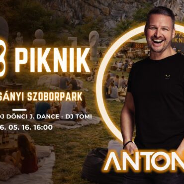 7773 Piknik