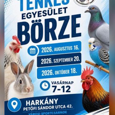Harkányi kisállat börze